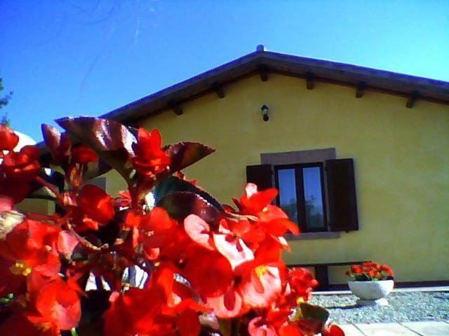 La Quiete Bed and Breakfast Acquapendente Buitenkant foto